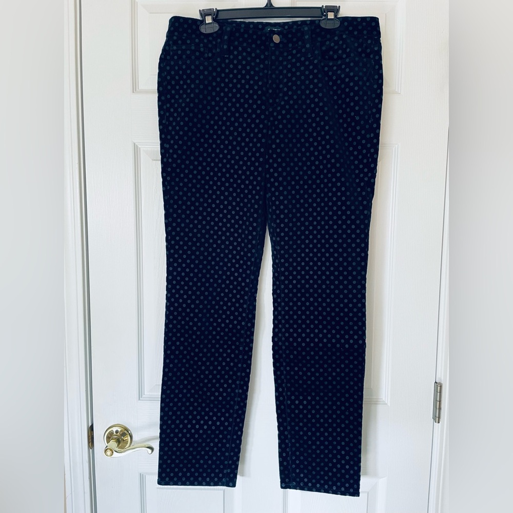 Ann Taylor | Modern Skinny Velvet Polka Dot Pants | Black on Black